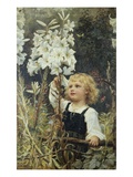 Liláceas Lámina giclée por Frederick Morgan Liláceas Lámina giclée por Frederick Morgan