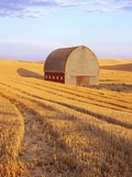 Barn in Harvested Field Photographic Print by Terry Eggers