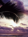 Sunset in Rarotonga Photographic Print by Craig Tuttle