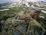 Lichen-Covered Rocks in Alpine Tundra Photographie par David Muench
