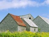 Row of Old Shingle Barns in Field Photographic Print by William Manning