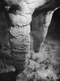 Stalactites and Stalagmites in Carlsbad Caverns Fotografisk trykk av Horace Bristol