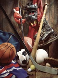 William Whitehurst - Variety of Sports Equipment - Fotografik Baskı
