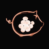 X-Ray of Piggy Bank Photographic Print by David Arky