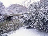 Snow at Bow Bridge in Central Park Photographic Print by Alan Schein