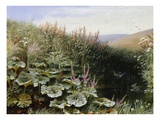 On the Riverbank Giclee Print by Robert Collinson