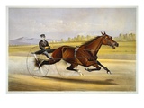 Queen of the Turf, 'Maud S', Driven by W.W. Bair, Lithograph Giclee Print by Nicholas Winfield Scott Leighton