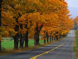 Rural Road in Autumn Photographic Print by Joseph Sohm