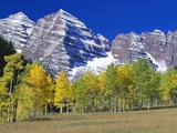 Aspen Trees Before Maroon Peaks Photographic Print by William Manning