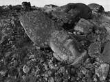 Moai Lies on Rocks and Boulders Photographic Print by Chris Rainier