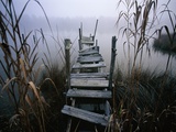 Weathered Dock in Fog Fotografisk trykk av Richard Bickel