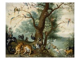 Animals and Birds in the Garden of Eden Giclee Print by School of Ferdinand van Kessel 