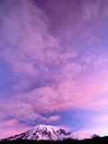 Pink Clouds Above Mount Rainier Photographic Print by Pat O'Hara