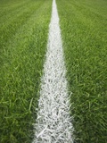 Painted Line on Athletic Field Photographic Print by Randy Faris