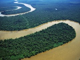 Meandering Tigre River Photographic Print by Layne Kennedy