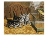 Captivated Giclee Print by Frank Paton