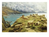Sheep Reposing, Dalby Bay, Isle of Man Giclee Print by Basil Bradley