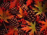 Autumn Leaves, Berries and Pinecones Photographic Print by Mark Karrass