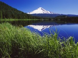 Lakeside Grass and Mt. Hood Photographic Print by Craig Tuttle