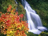 Autumn Leaves by Rushing Waterfall Photographic Print by Craig Tuttle