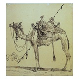 Kamel Giclee-trykk av Rodolphe Bresdin