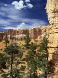 Hoodoos and Ponderosa Pines Photographic Print by James Sparshatt