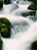 Water cascading - Oregon Photographie par Craig Tuttle