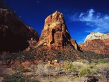 Butte in Zion National Park Photographic Print