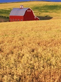 Red Barn on Rolling Hills Photographic Print by Stuart Westmorland
