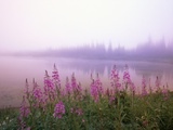Reflection Lake at Sunrise Photographic Print by Craig Tuttle