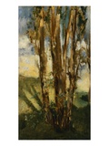 Study of Trees Giclee Print by Edouard Manet