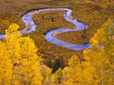 Aspen Trees Before Meandering River Photographic Print by William Manning