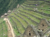 Terraced Fields at Machu Picchu Photographic Print by Dave G. Houser