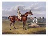 Aquatint by Thomas Sutherland After Barefoot, Winner 1823 Giclee Print by John Frederick Herring I