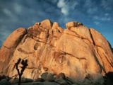 Joshua Tree and Cliffs Photographic Print by Kevin Schafer