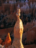 Hoodoos in Bryce Canyon National Park Photographie par Joseph Sohm