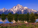 Grand Teton Photographic Print by Robert Glusic