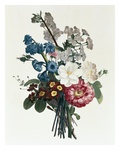 Bouquet of Camellia and Auricula Giclee Print by Jean Louis Prevost