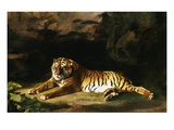 Portrait des königlichen Tigers Giclée-Druck von George Stubbs
