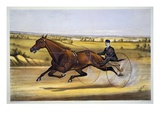Queen of the Turf, 'Maud S', Driven by W.W. Bair, Lithograph Giclee Print by Nicholas Winfield Scott Leighton