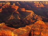 Grand Canyon Bathed in Sunlight Photographic Print by Shubroto Chattopadhyay