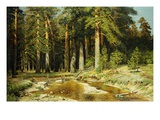 The Mast Tree Grove, Study Giclee Print by Ivan Ivanovich Shishkin