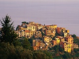 Village of Corniglia on the Italian Riviera Photographic Print by Ron Watts