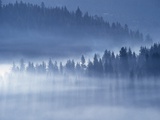 Mist Hiding Trees Above the Little Spokane River Valley Photographic Print by Bob Rowan