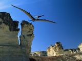 Pteranodon Longiceps in Flight Fotografie-Druck von Jonathan Blair