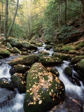 Water Running Through Mossy Rocks Fotografisk trykk av Gary Braasch