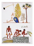 Illustration of Egyptian Frescoes of a Well and a Garden by Frederic Cailliaud Impressão giclée por Stapleton Collection Illustration of Egyptian Frescoes of a Well and a Garden by Frederic Cailliaud Impressão giclée por Stapleton Collection
