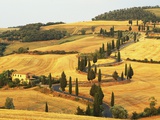 Italian Countryside of Val d'Orcia Fotografie-Druck von Sergio Pitamitz