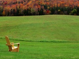 Chair on Lawn with Fall Foliage Photographic Print