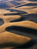 Wheat Fields of the Palouse Hills Photographic Print by Joseph Sohm